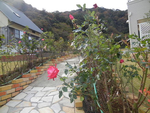 ’12,12,1(土)今日から12月~!_f0060461_15125414.jpg