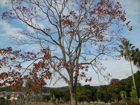 ’12,12,1(土)今日から12月~!_f0060461_15245685.jpg