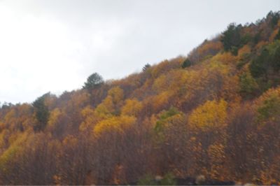d0224362_222755.jpg