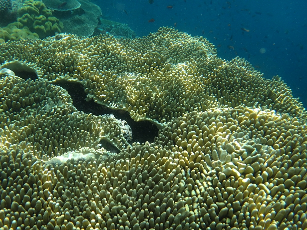 d0044965_13524599.jpg