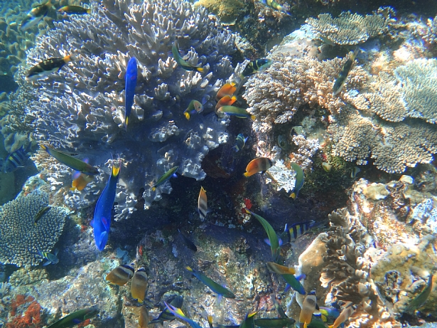 d0044965_1353574.jpg
