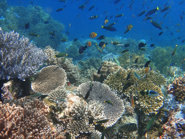 d0044965_13541626.jpg