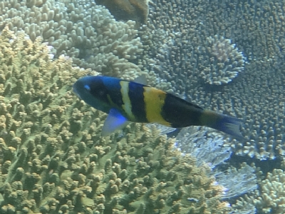 d0044965_13585252.jpg