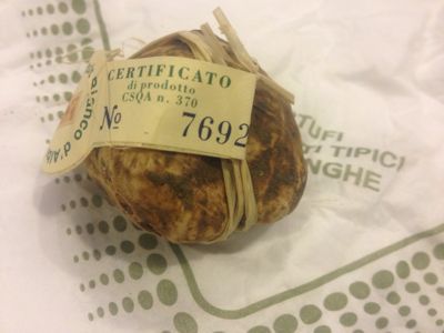 LAST!!  Tartufo Bianco_a0142066_061492.jpg