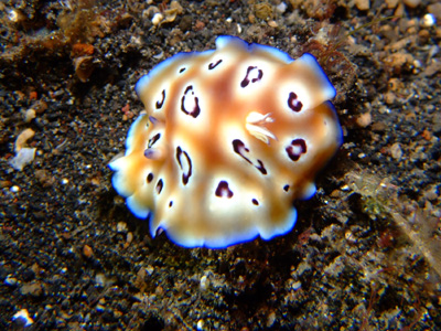e0184067_92481.jpg
