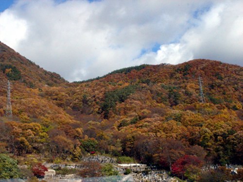 f0099367_14454445.jpg
