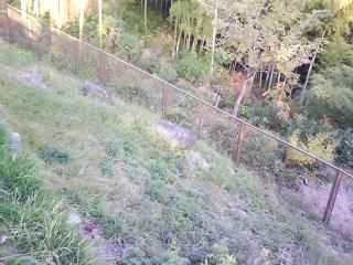 f0150767_16362251.jpg
