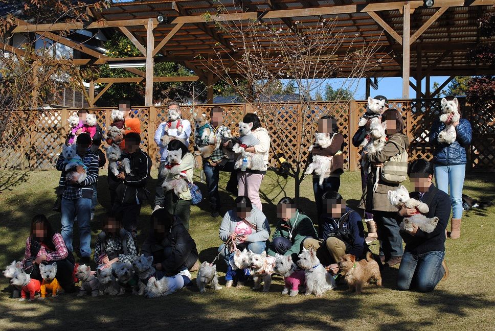 ♪ ダニエル 白犬さんわらわらユーカリへ～4th つづき～♪  _b0242873_1023556.jpg