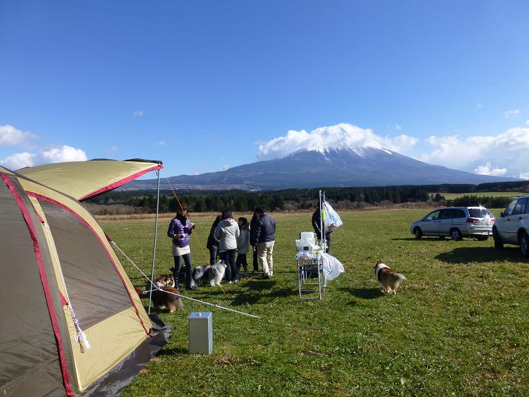 富士の裾野でデイキャンプ！_a0157174_2052766.jpg