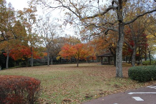 e0114977_8284526.jpg