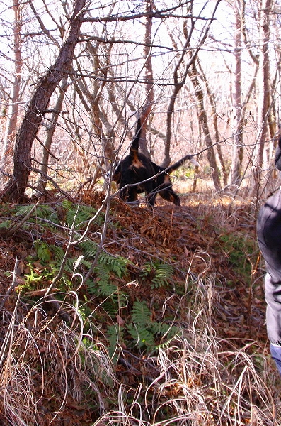 c0149178_1844023.jpg