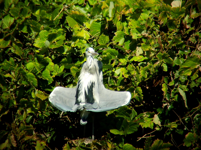 a0167480_9434736.jpg