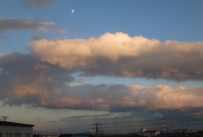 a0160581_91685.jpg