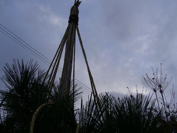 c0198781_11353257.jpg
