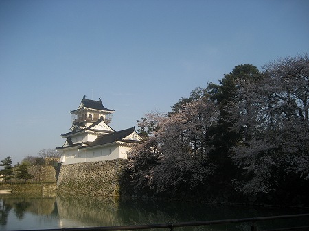 富山　松川の桜とチンドン祭り_c0229483_21192997.jpg