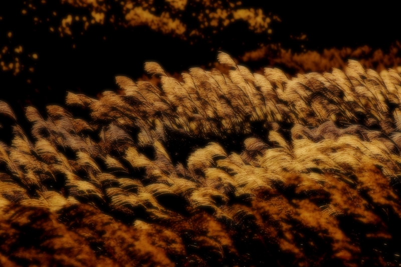 b0227088_3592097.jpg