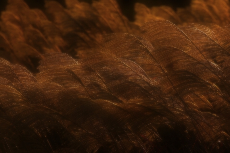 b0227088_41101.jpg