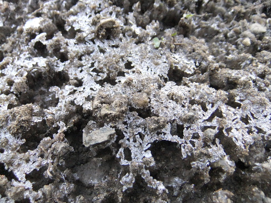 f0215591_8172043.jpg