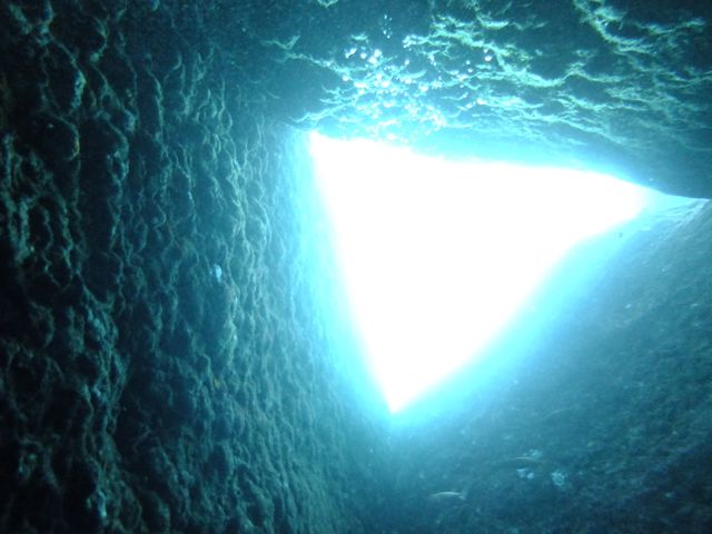 西風強いけど水中は静かな雲見【2012年12月1日】_f0053895_18414346.jpg