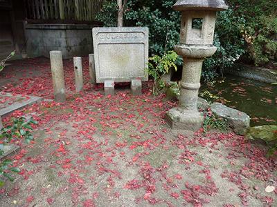 布引徳光院の紅葉_b0051598_2285171.jpg