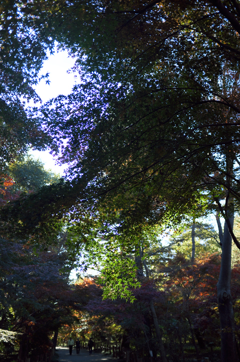 新座　平林寺＃3_b0286898_1113134.jpg