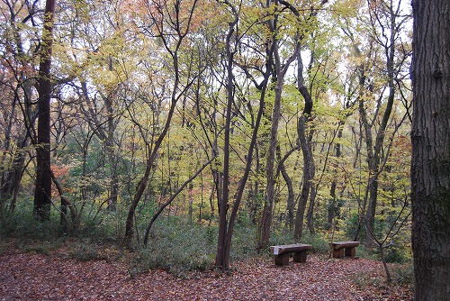 c0124100_22494534.jpg