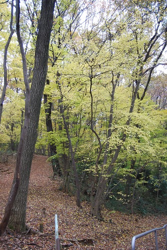 c0124100_22525558.jpg
