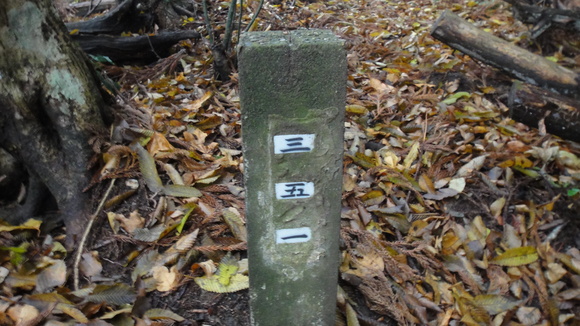 f0036700_14295338.jpg