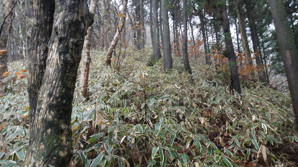 f0036700_14295492.jpg