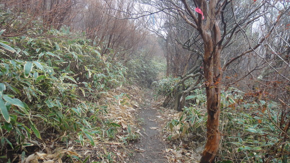 f0036700_14303760.jpg