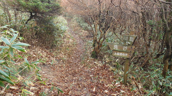 雷山　晩秋の新ルート_f0036700_14304972.jpg