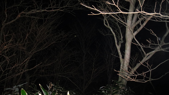 f0036700_14314685.jpg