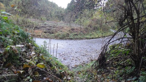 f0036700_14591179.jpg