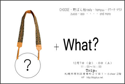 「＋What?」＆「workshop」_b0182101_11431269.jpg