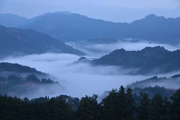 a0044202_8582731.jpg