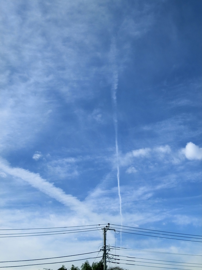表の裏も表_c0125702_011388.jpg
