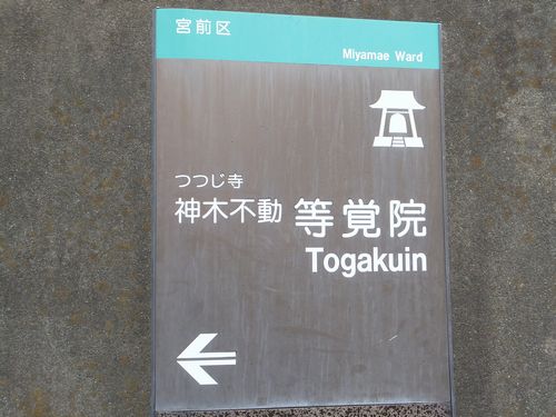 f0120102_2058267.jpg