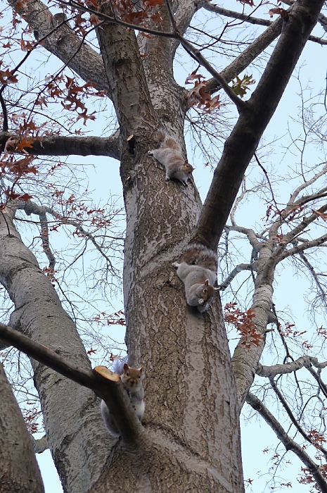 c0187503_17352463.jpg