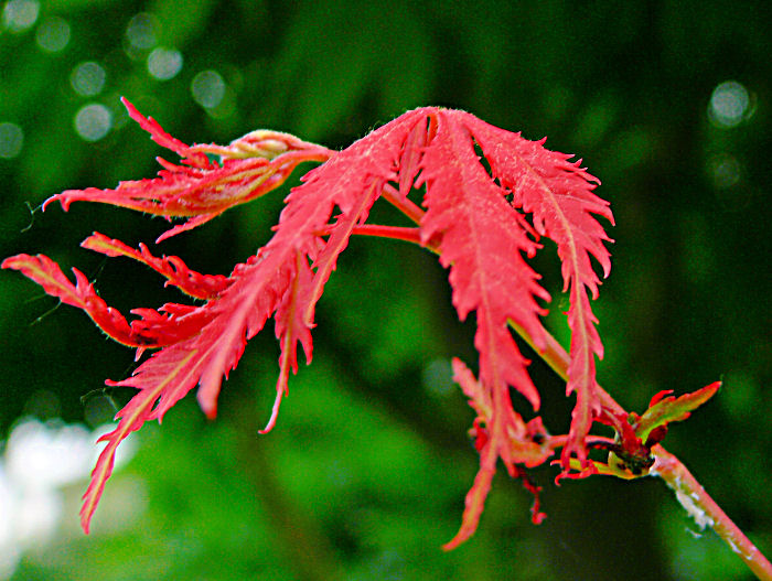 a0257308_13433283.jpg