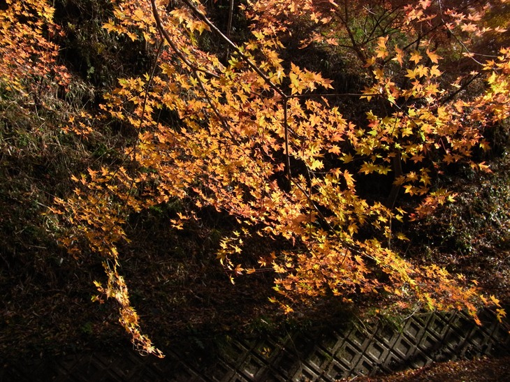 b0137208_0313045.jpg