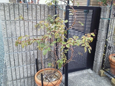 c0207810_21225891.jpg
