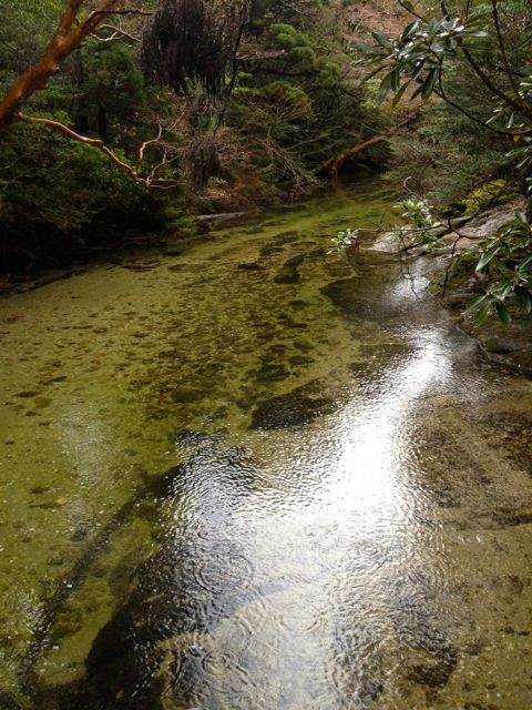 b0183911_22163512.jpg