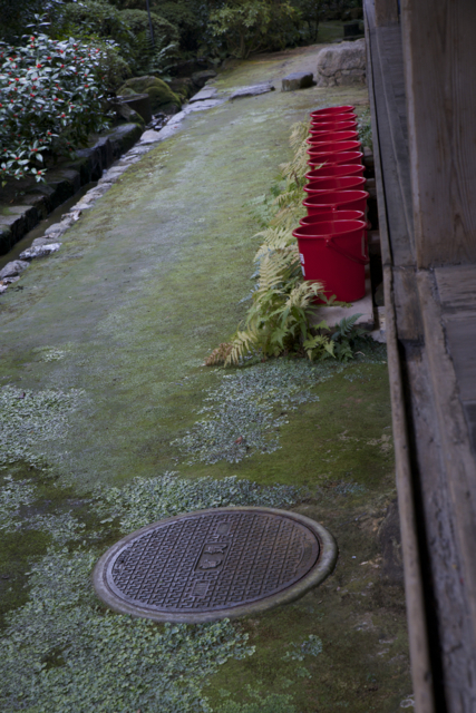 c0153411_2138588.jpg