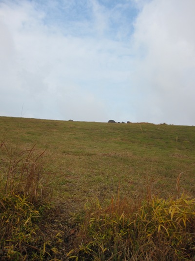 e0056411_23122955.jpg