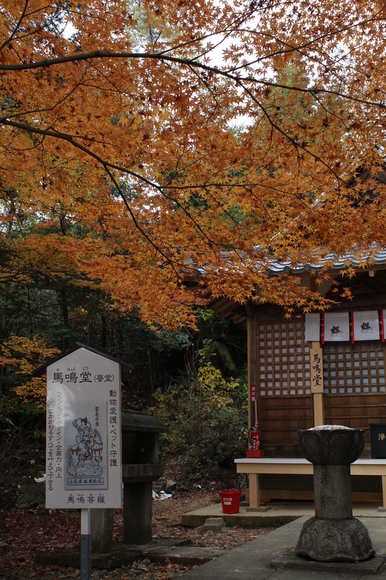 もみじ寺　犬山　寂光院_d0039312_924668.jpg