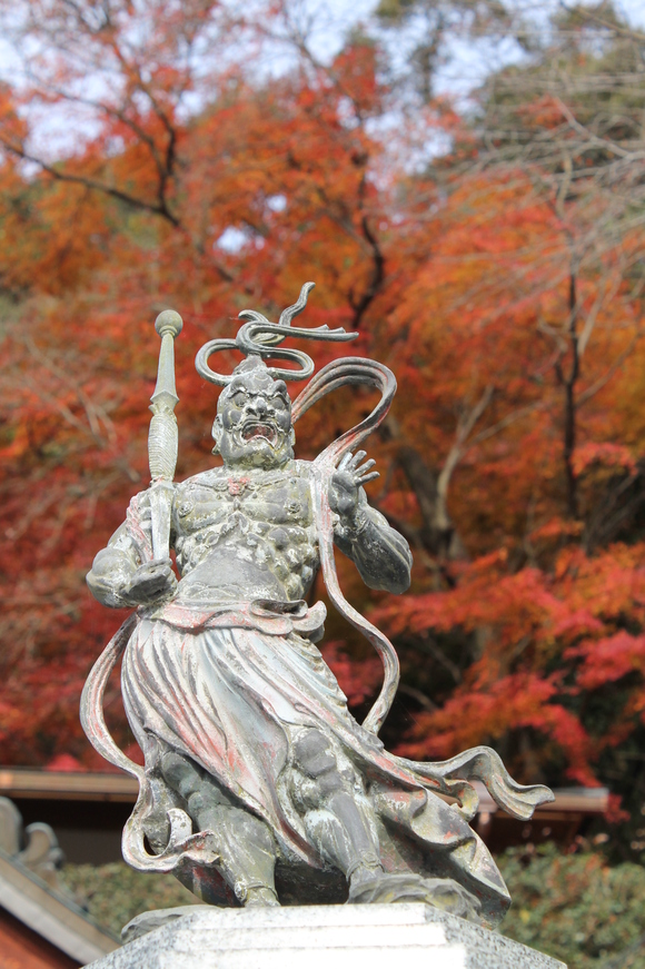 もみじ寺　犬山　寂光院_d0039312_963638.jpg