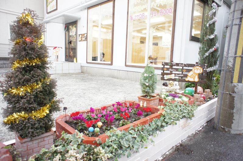 d0220513_2054198.jpg