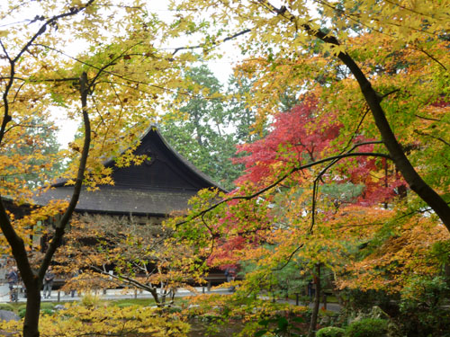 紅葉の京都旅行1_e0048413_19314012.jpg