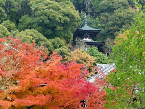 紅葉の京都旅行1_e0048413_19315257.jpg