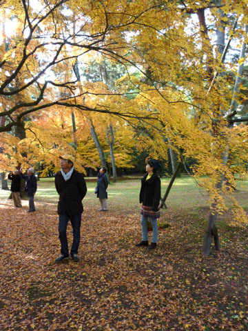 紅葉の京都旅行2_e0048413_2023296.jpg